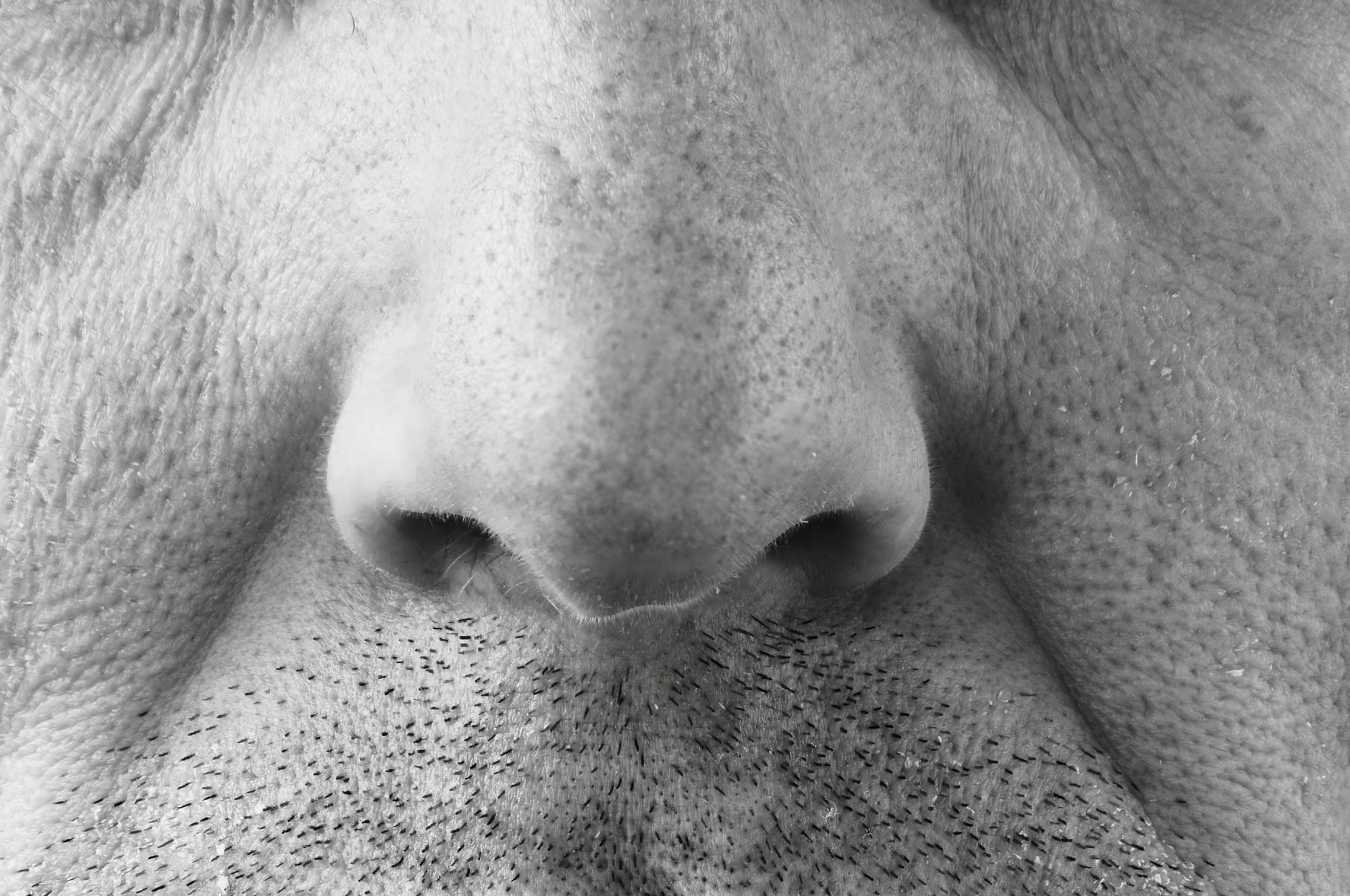 Very close up of a nose, breathing in